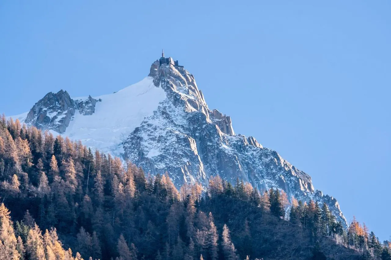 Chamonix Sud Studio With Mont Blanc Views