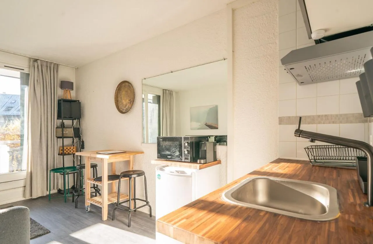 Chamonix Sud Studio With Mont Blanc Views France